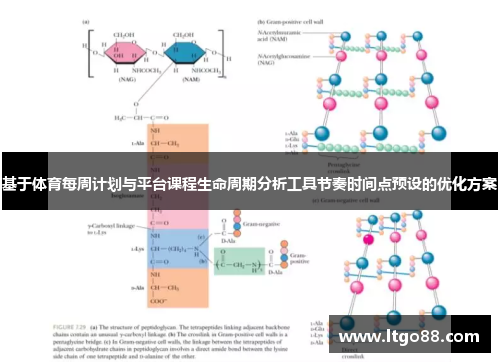 基于体育每周计划与平台课程生命周期分析工具节奏时间点预设的优化方案