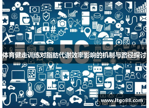 体育健走训练对脂肪代谢效率影响的机制与路径探讨